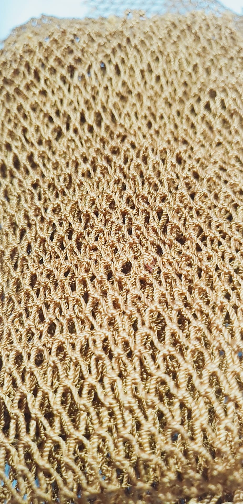 West African soft Sponge (SAPO)