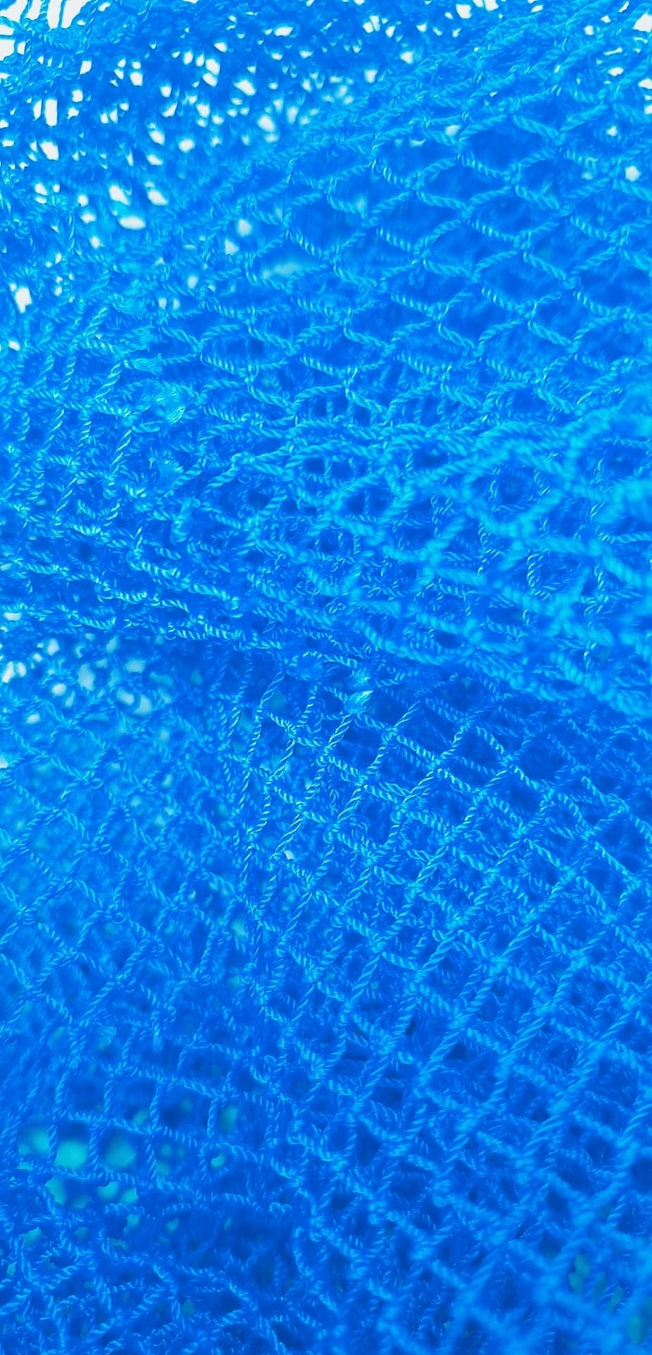 West African soft Sponge (SAPO)
