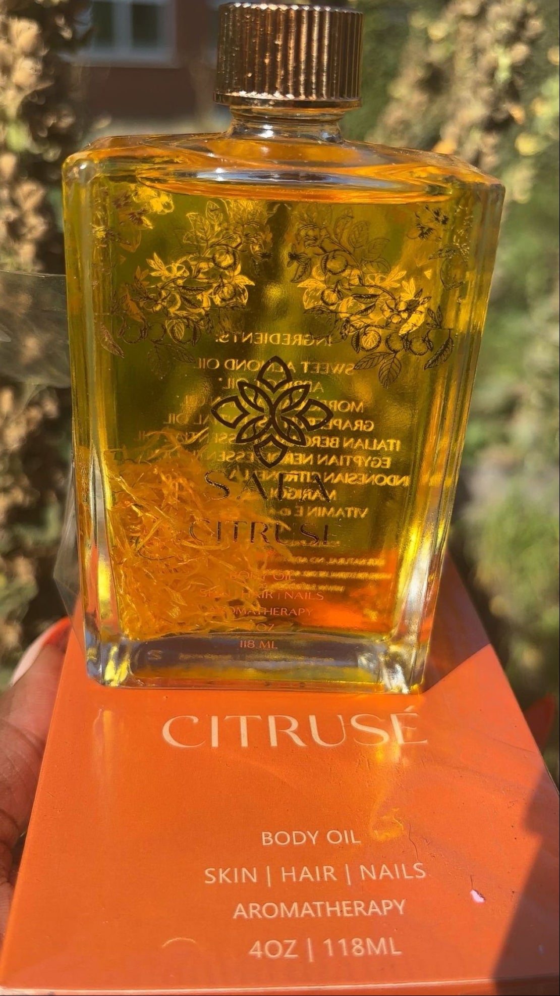 SAFA Citrusé Oil – Liquid Sunshine for Skin & Hair 🍊