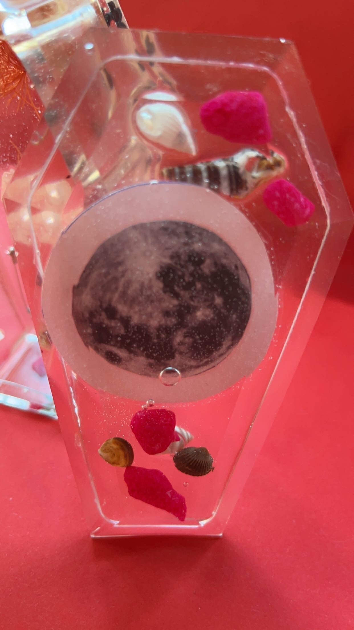 Translucent Coffin Shaped Resin Jewelry Box by DOLA