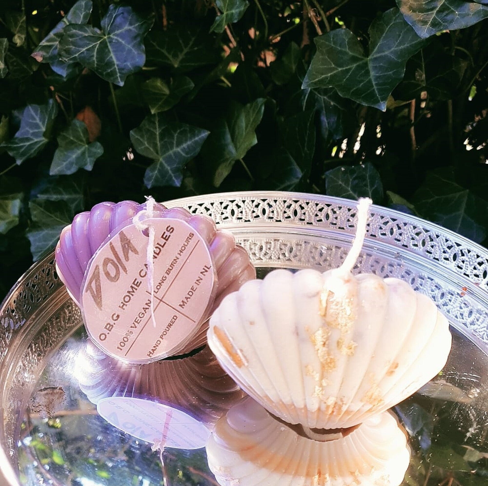 Luxury Handmade Seashell Beeswax Candle – Natural Decorative Candle | DOLA Soft