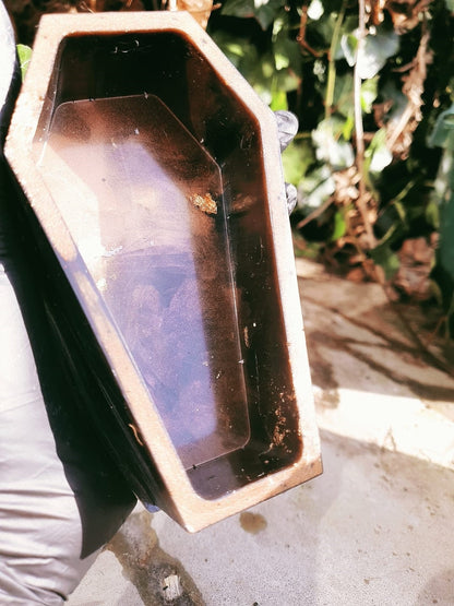 Black Coffin Shaped Resin Jewelry Box by DOLA