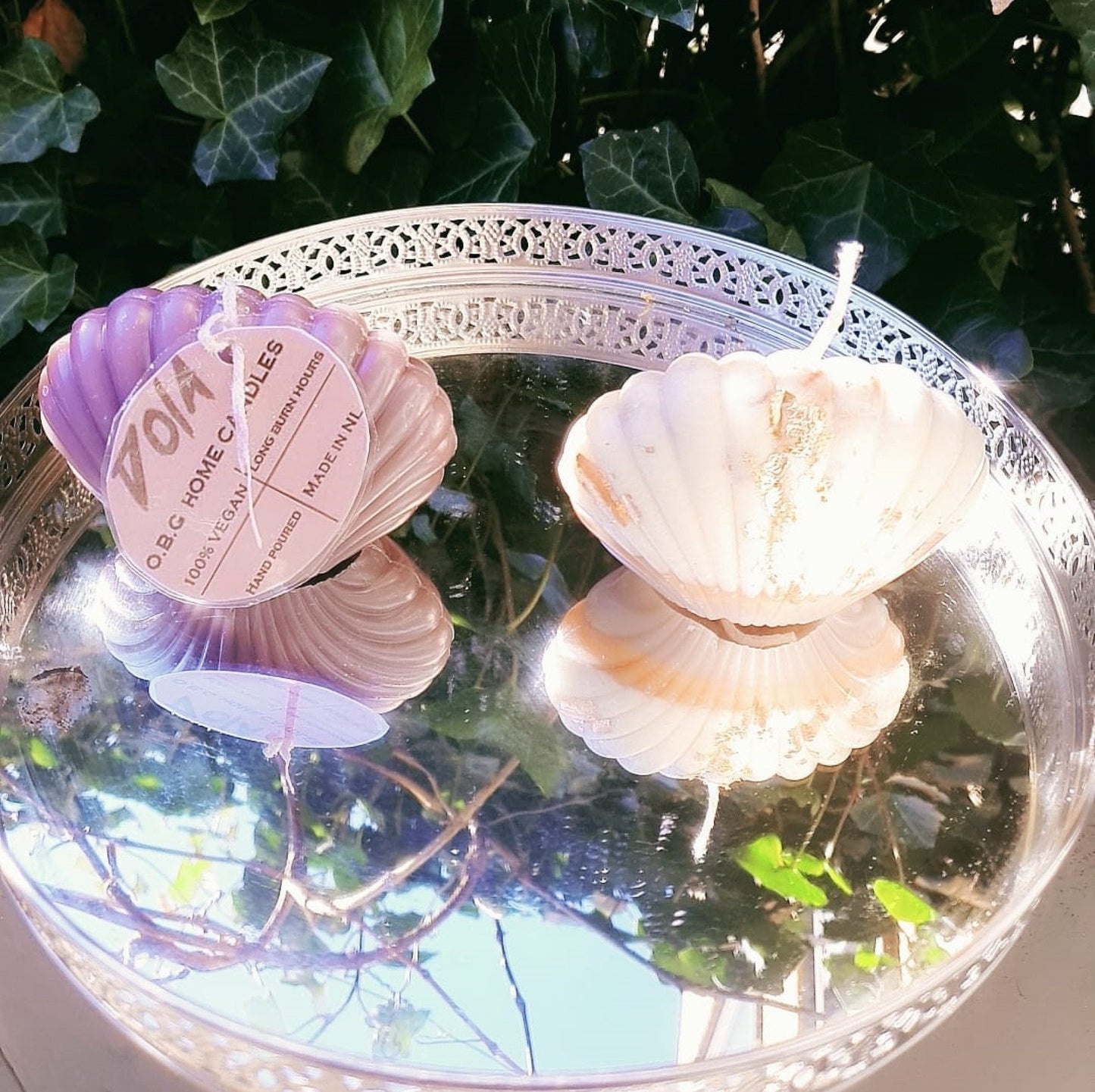 Candle Luxury Handmade Seashell Beeswax by DOLA
