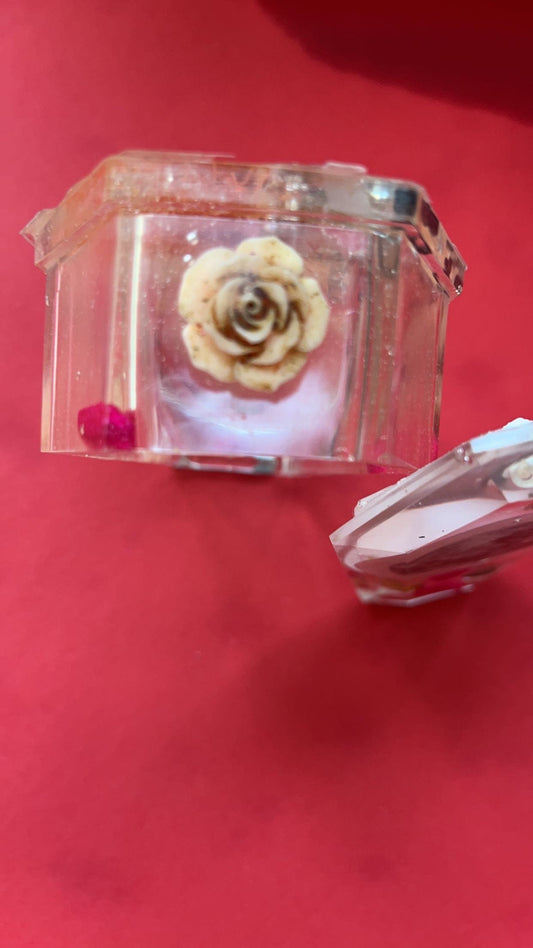 Translucent Coffin Shaped Resin Jewelry Box by DOLA