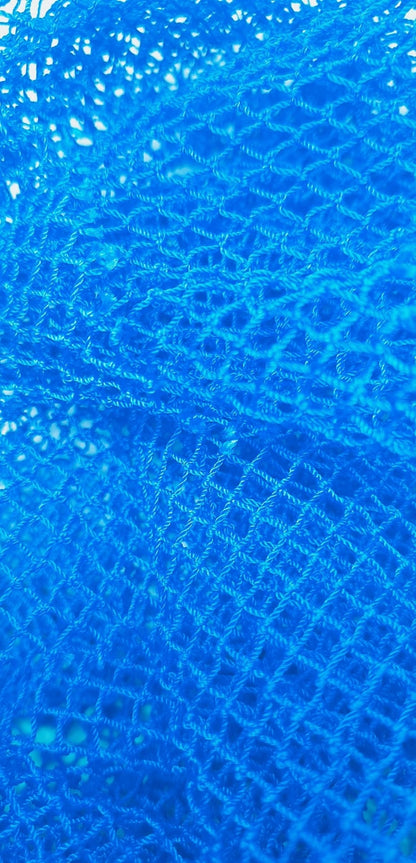 West African soft Sponge (SAPO)