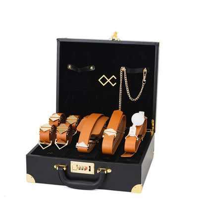 Luxury Bondage Case – Complete Restraint Set with Lock | DOLA Soft