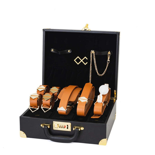 Luxury Bondage Case – Complete Restraint Set with Lock | DOLA Soft