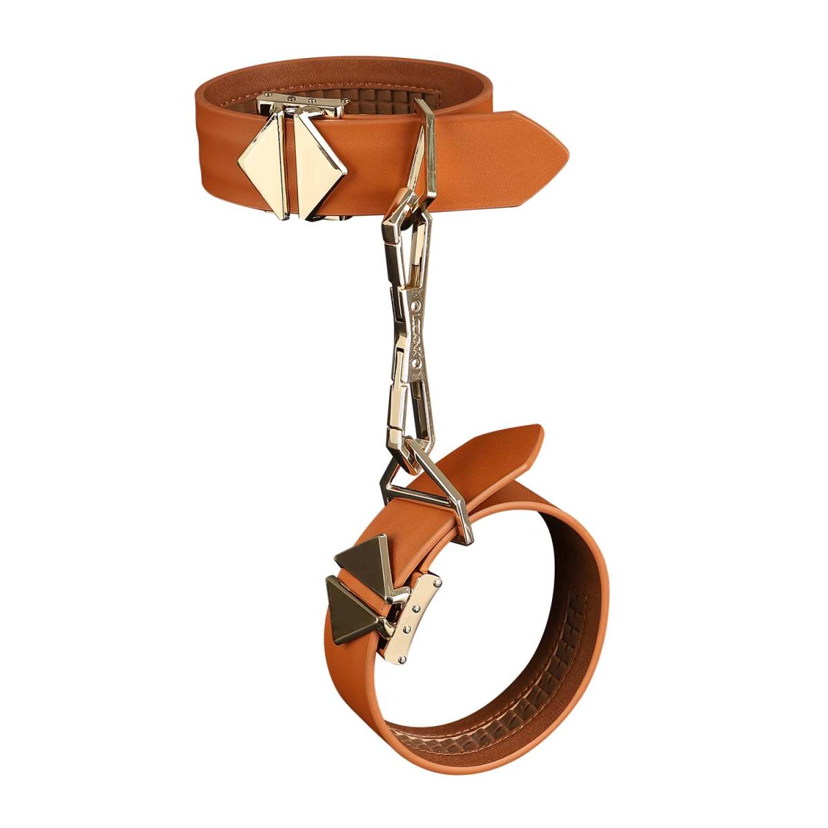 Luxury Bondage Case – Complete Restraint Set with Lock | DOLA Soft