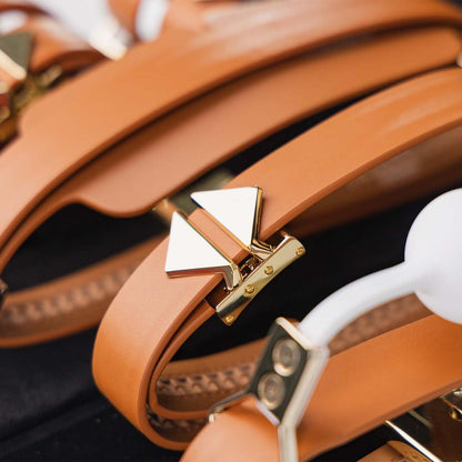 Luxury Bondage Case – Complete Restraint Set with Lock | DOLA Soft