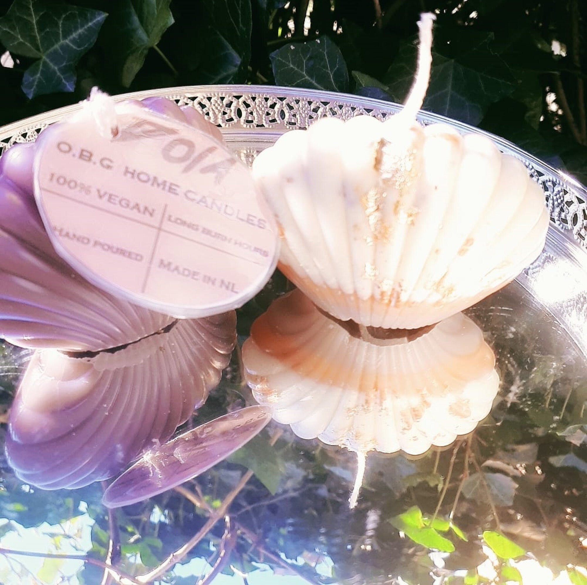 Luxury Handmade Seashell Beeswax Candle – Natural Decorative Candle | DOLA Soft