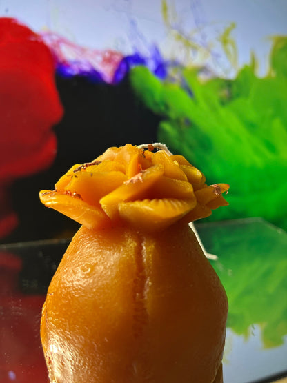 Candle decorative  Rose Skull Beeswax by DOLA