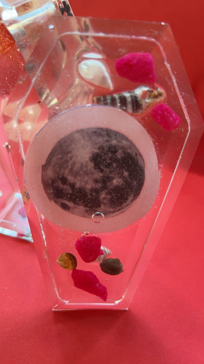 Translucent Coffin Shaped Resin Jewelry Box by DOLA